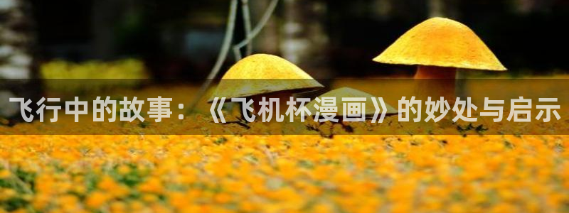 禁漫天堂漫画在线观看：飞行中的故事：《飞机杯漫画》的妙处与启示