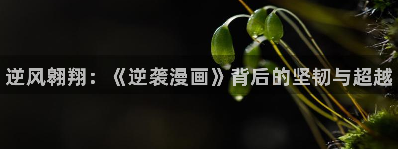 禁漫天堂汉化组