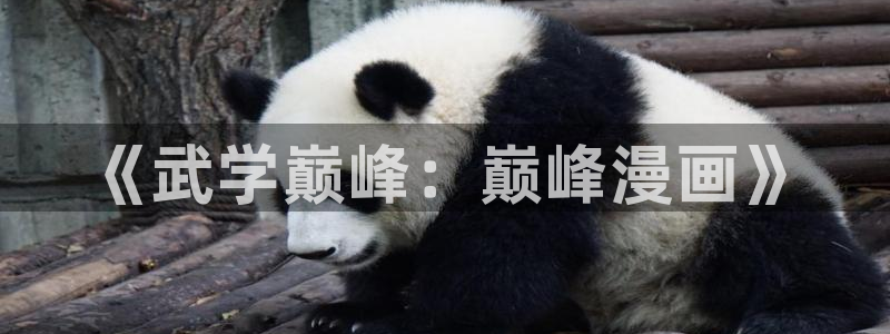 禁漫天堂免费a
