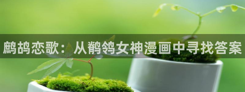 禁漫天堂网址在哪