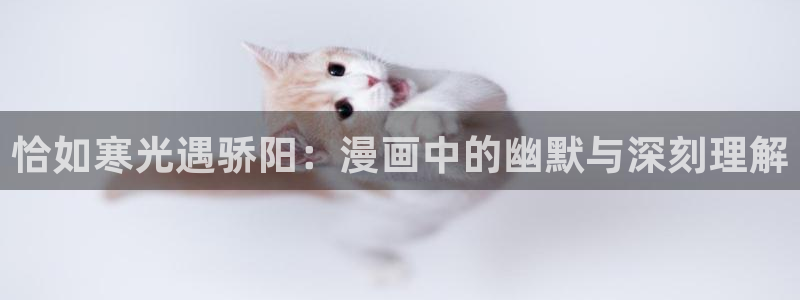 禁漫天堂网页版地址