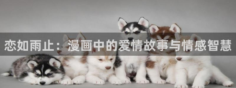 免费a漫 – 禁漫天堂