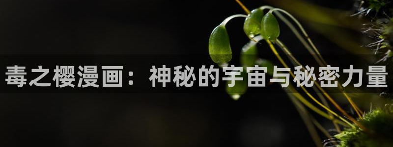 禁漫天堂官方正版下载