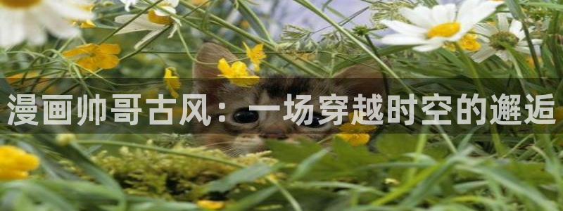 禁漫天堂加速器