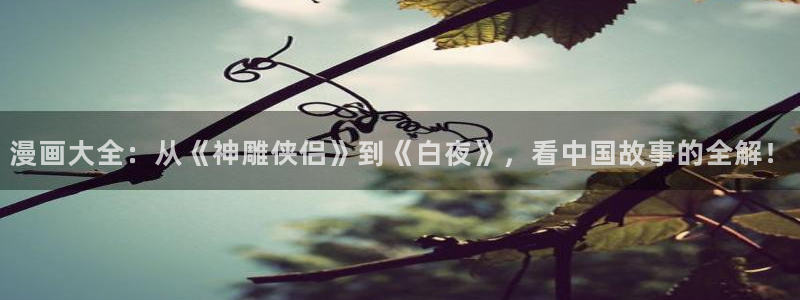 禁漫天堂软件在线下载