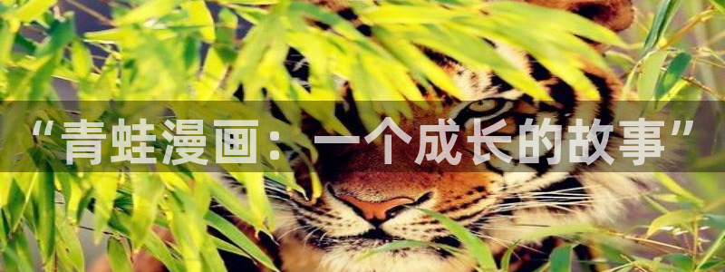 禁漫天堂网址是啥：“青蛙漫画：一个成长的故事”