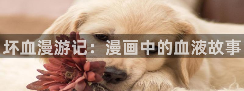 禁漫天堂网站在线免费观看