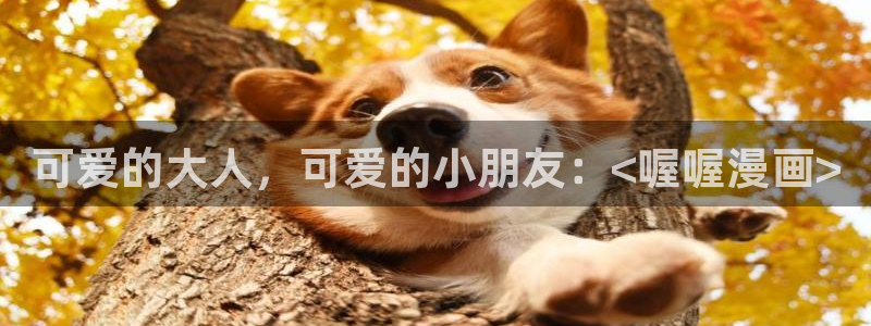 禁漫天堂网页版在线