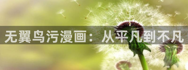可以加速禁漫天堂的加速器