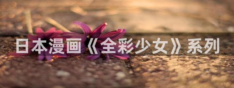 禁漫天堂汉化组