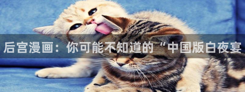 禁漫天堂禁漫天堂：后宫漫画：你可能不知道的“中国版白夜宴
