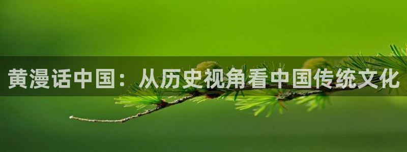 禁漫天堂小说：黄漫话中国：从历史视角看中国传统文化