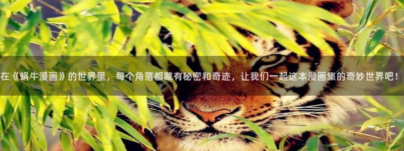 18禁漫天堂网址：在《蜗牛漫画》的世界里，每个角落都藏有秘密和奇迹，让我们一起这本漫画集的奇妙世界吧！