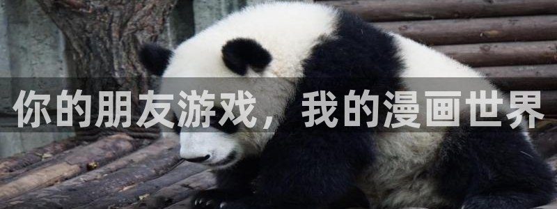 禁漫天堂密码：你的朋友游戏，我的漫画世界