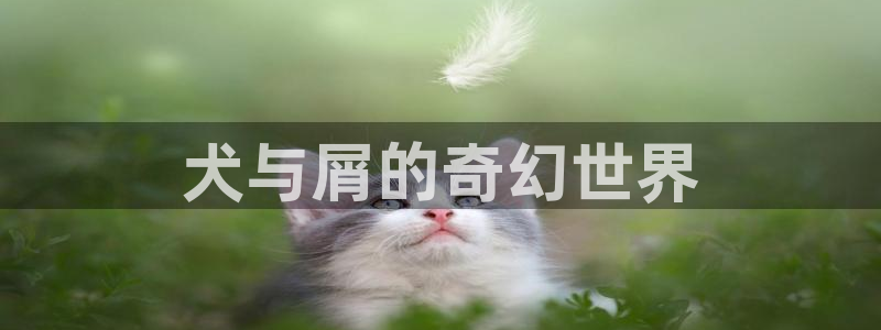 禁漫天堂·com：犬与屑的奇幻世界