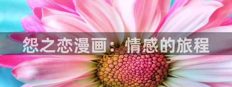 禁漫天堂app官网：怨之恋漫画：情感的旅程