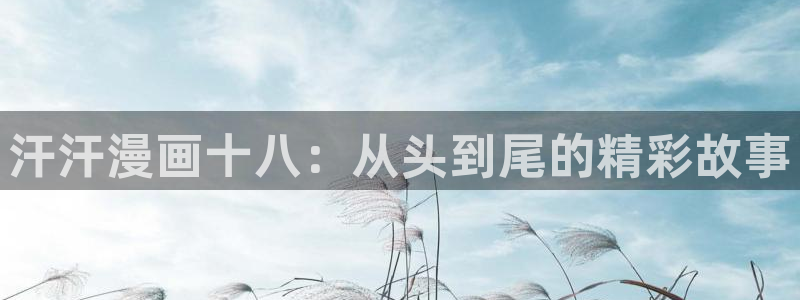 什么是禁漫天堂：汗汗漫画十八：从头到尾的精彩故事