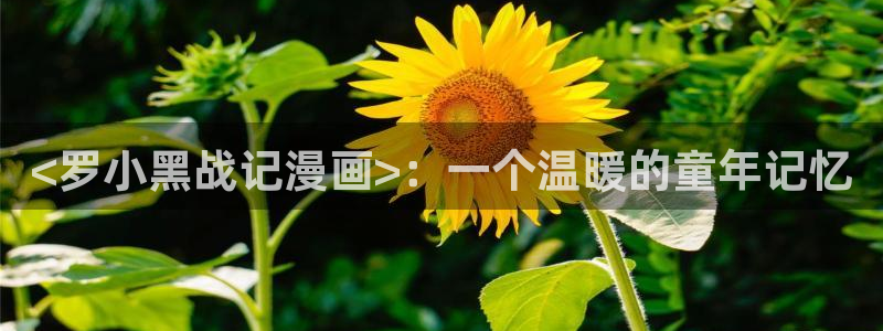 禁漫天堂在线下：<罗小黑战记漫画>：一个温暖的童年记忆