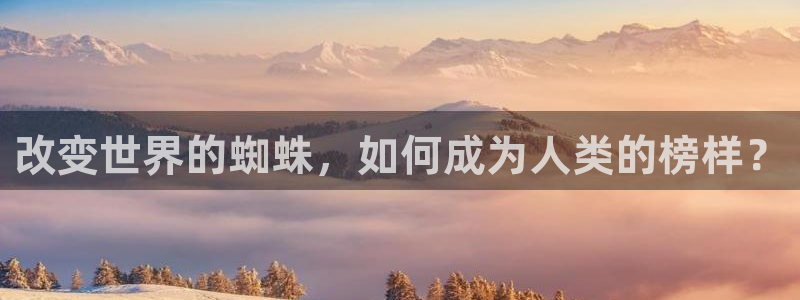 19禁漫画：改变世界的蜘蛛，如何成为人类的榜样？